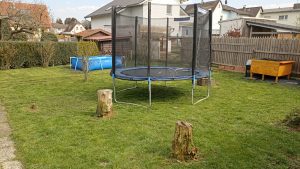 WhatsApp Image 2023-04-06 at 14.54.50